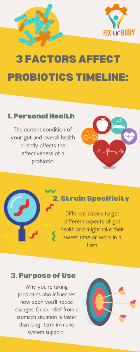 Factors Affecting Probiotics Timeline