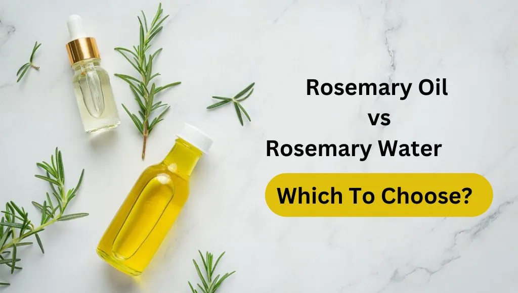 rosemary water vs rosemary oil